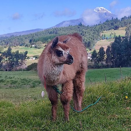 Cuscungo Cotopaxi Hostel&Lodge Chasqui Exterior foto