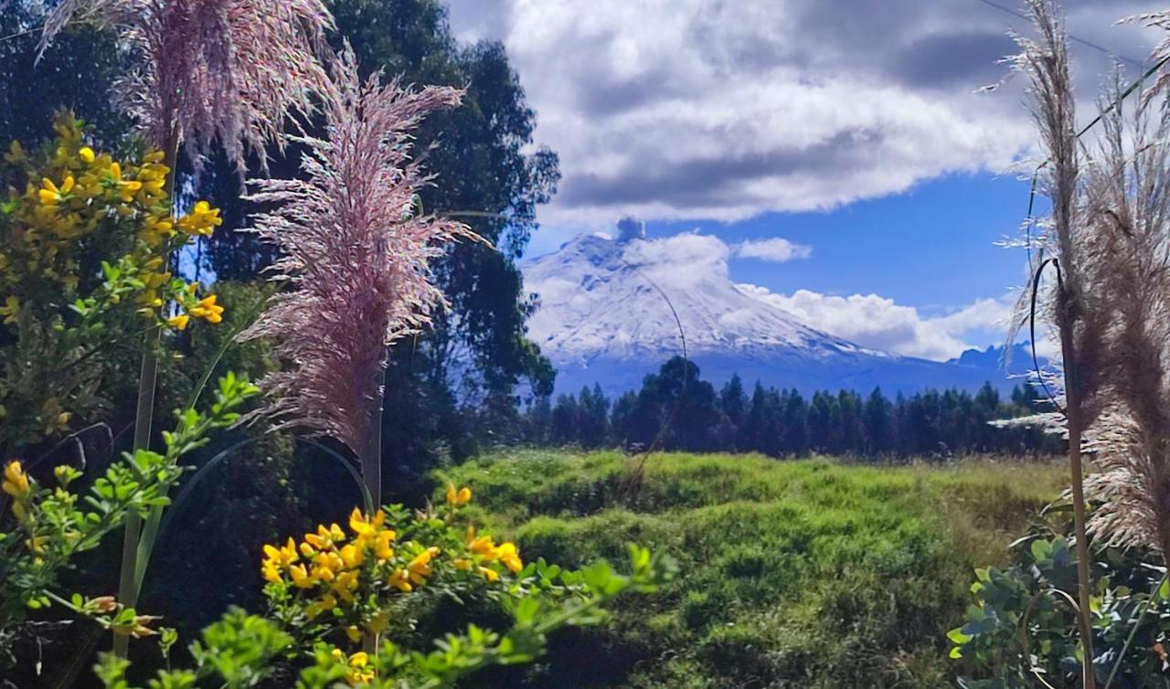 Cuscungo Cotopaxi Hostel&Lodge Chasqui Exterior foto