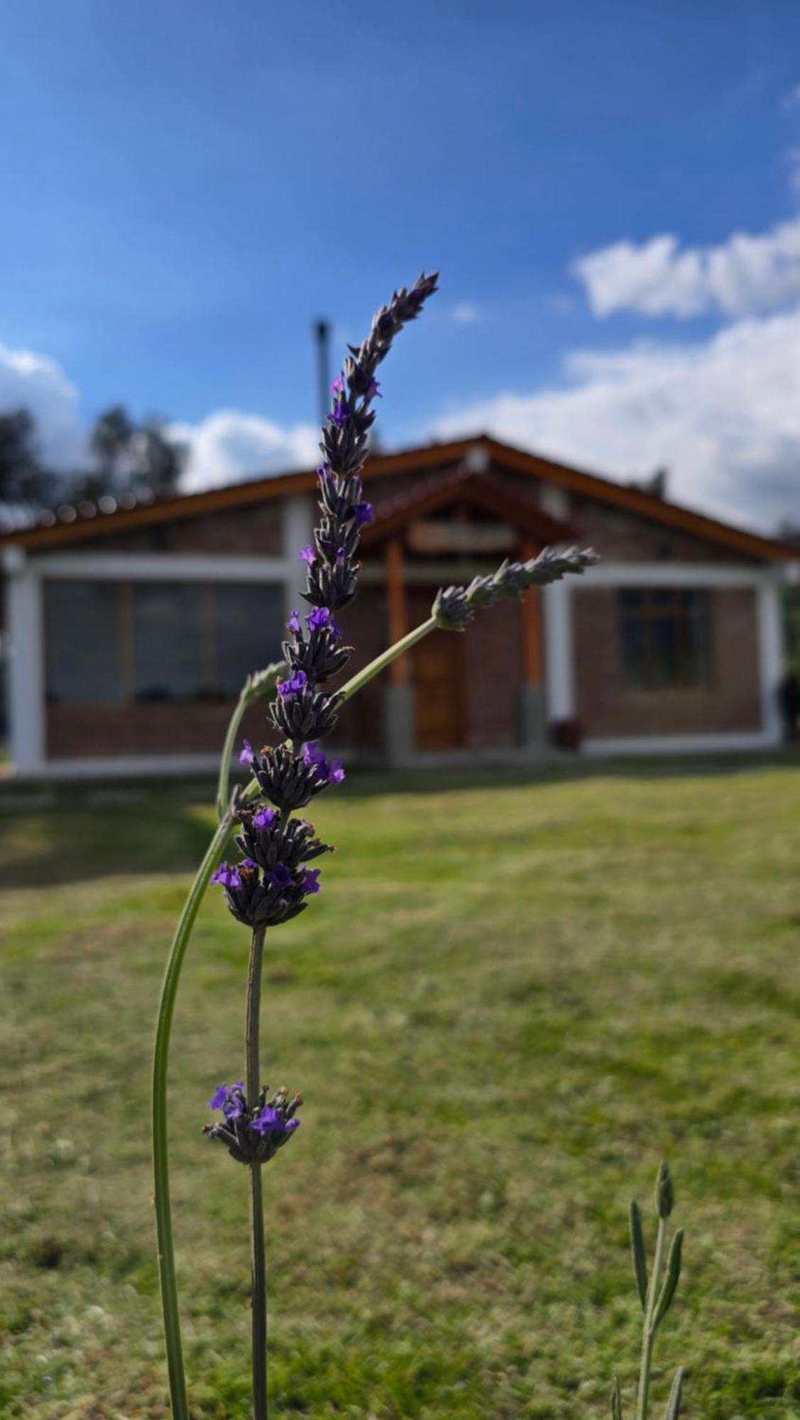 Cuscungo Cotopaxi Hostel&Lodge Chasqui Exterior foto