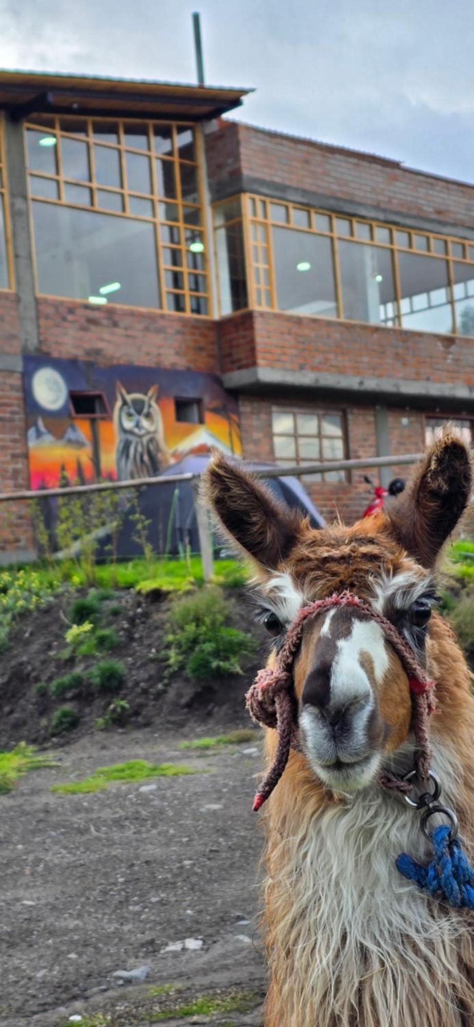 Cuscungo Cotopaxi Hostel&Lodge Chasqui Exterior foto